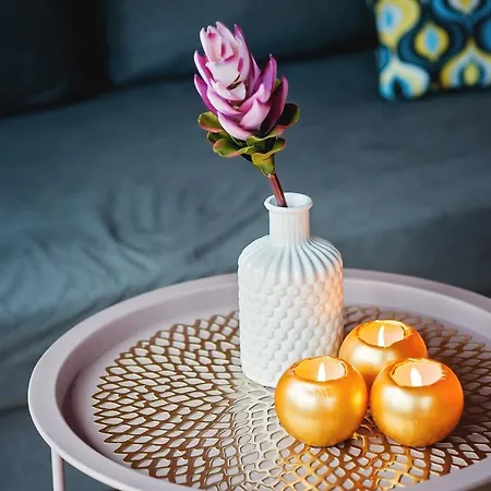 Widok Na Sniezke - Caloroczne 度假居 *